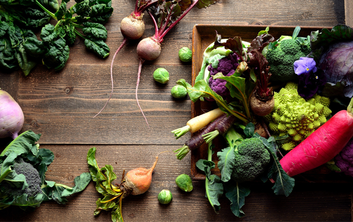 Winter Vegetables and Fruits